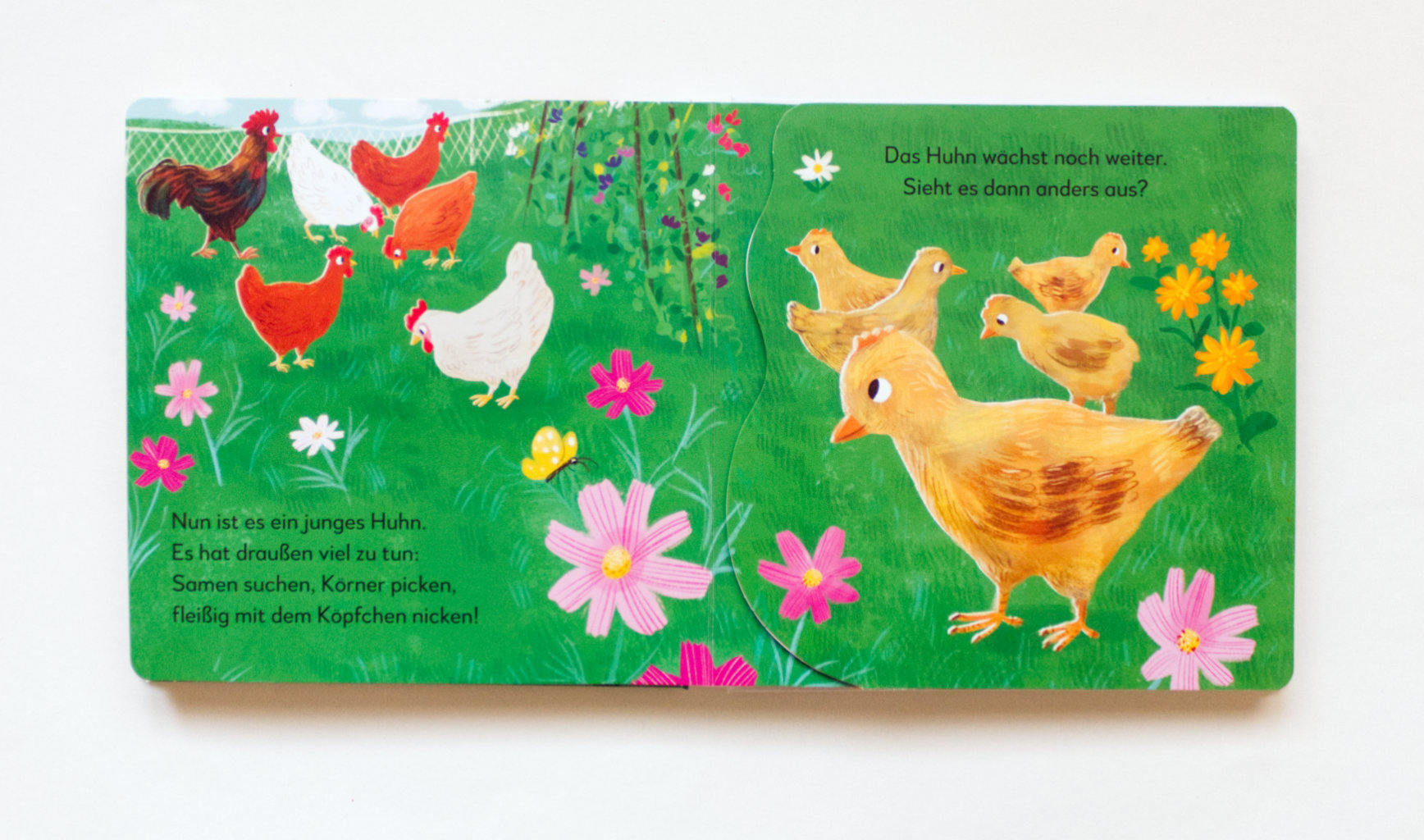 Wo kommst du her, kleines Küken?