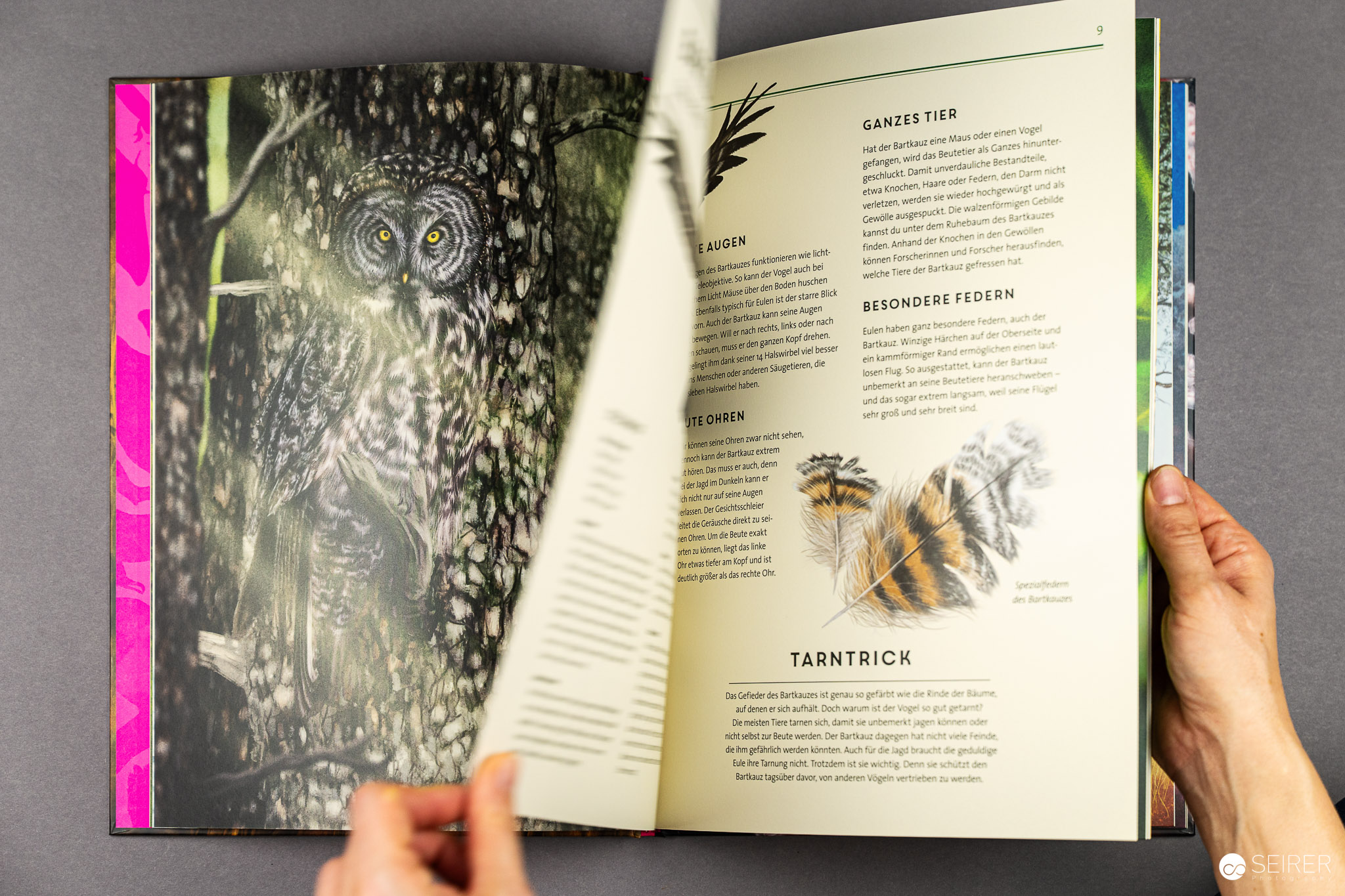 Unsichtbar: Meister der Tarnung