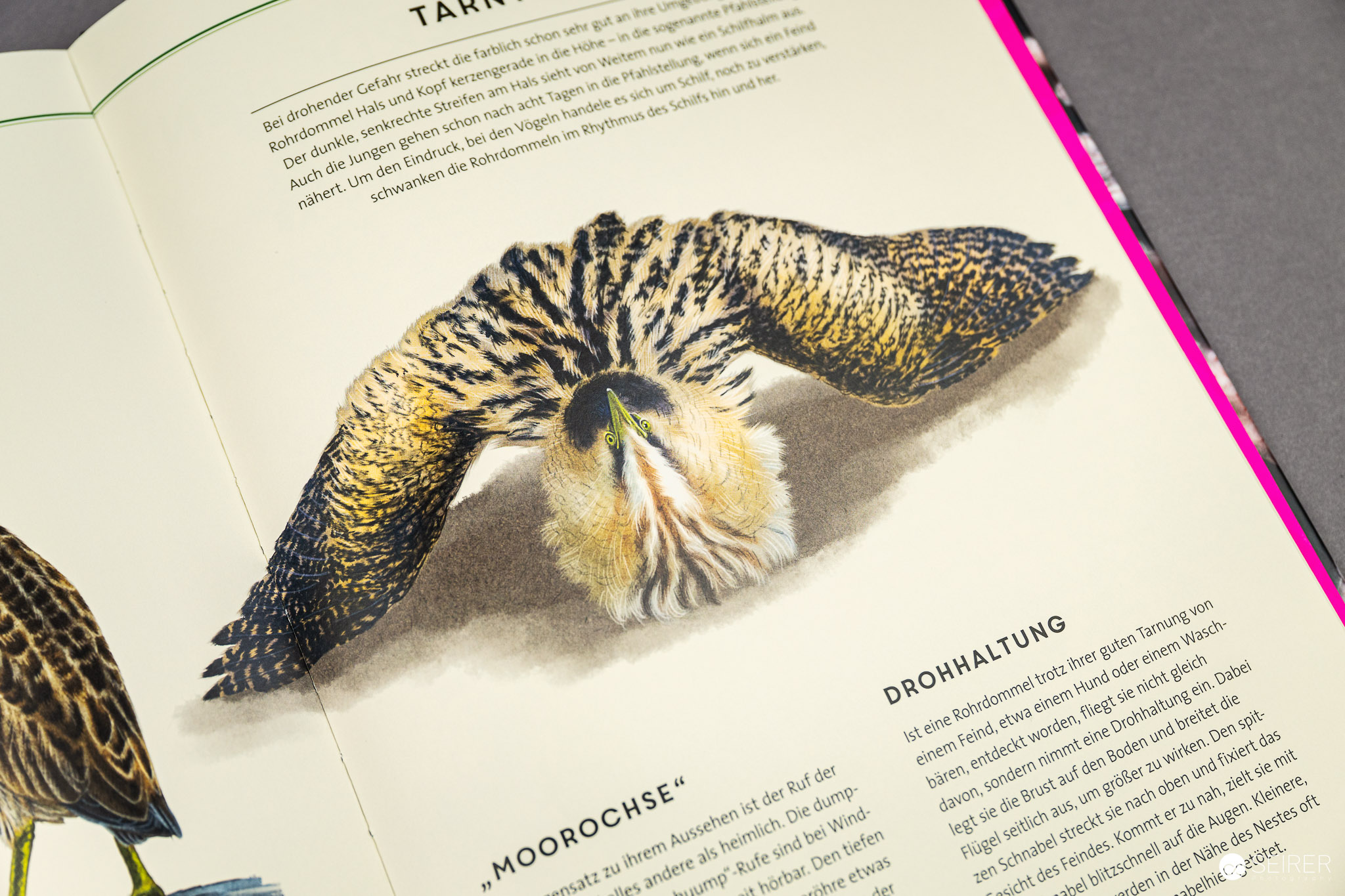 Unsichtbar: Meister der Tarnung