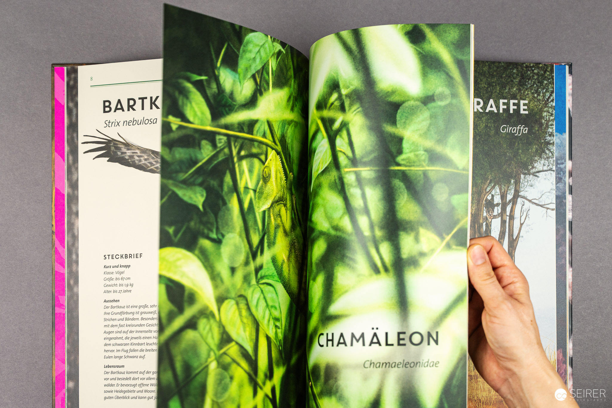 Unsichtbar: Meister der Tarnung