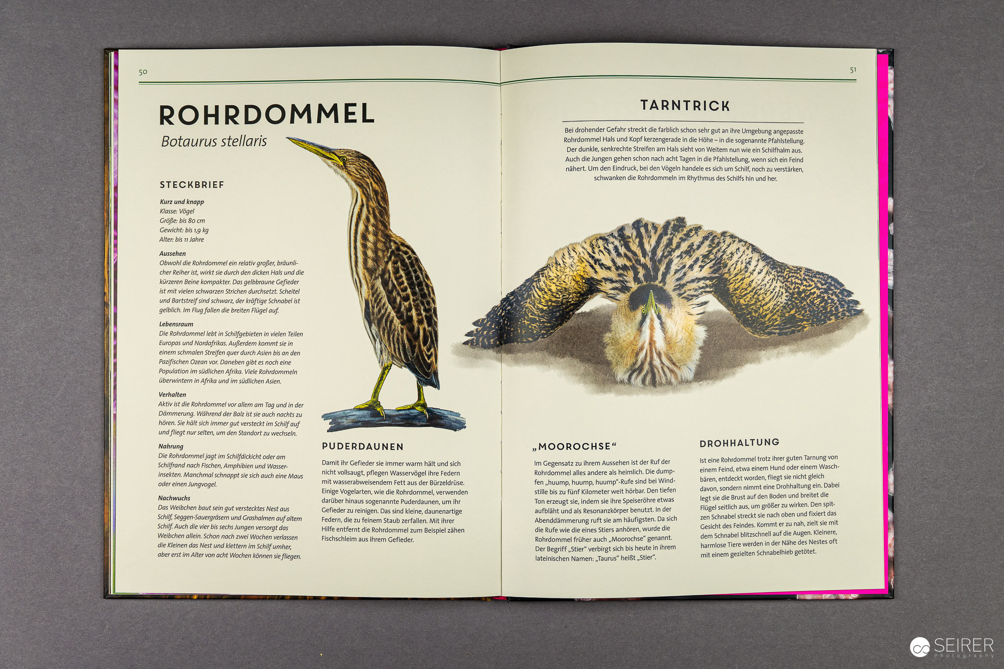 Unsichtbar: Meister der Tarnung