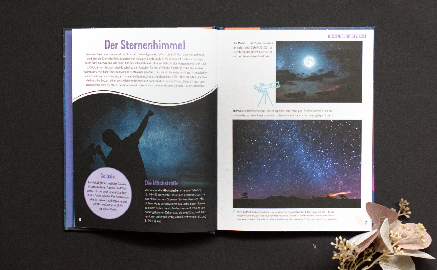 Anita van Saan: Die Nacht - Sternenhimmel, Tiere & Natur