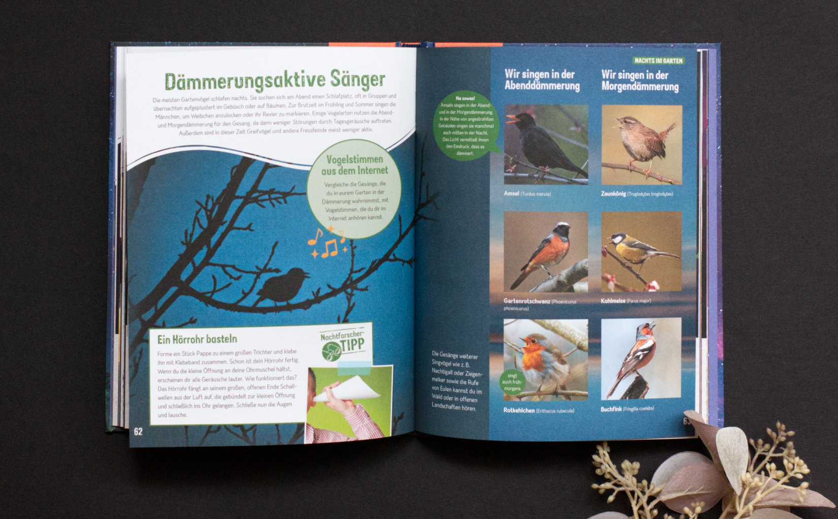 Anita van Saan: Die Nacht - Sternenhimmel, Tiere & Natur